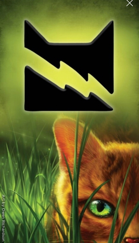 Thunderclan