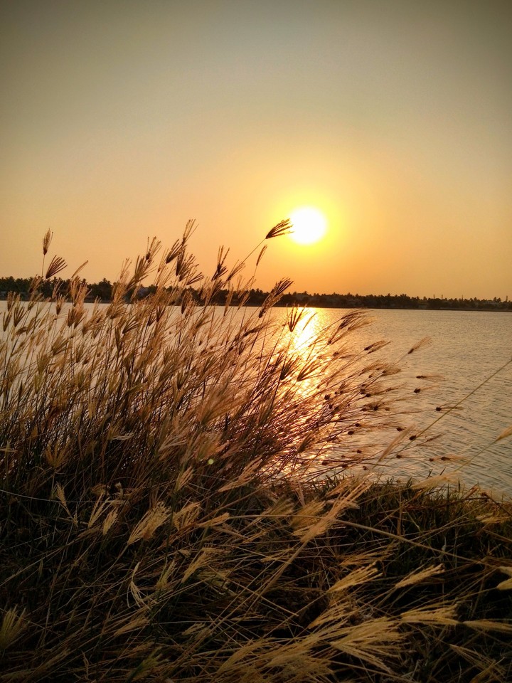 Lovely eve.