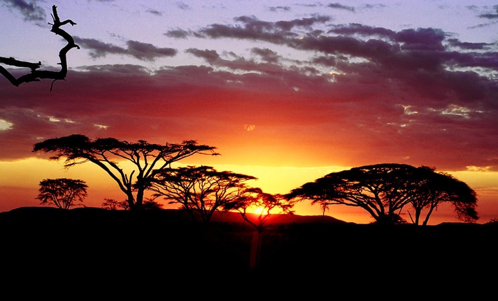 african sunset