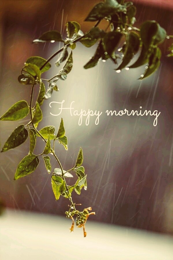 HAPPY MORNING