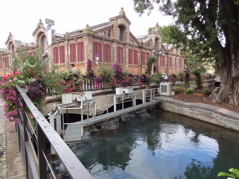 Colmar