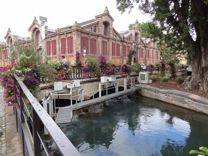 Colmar