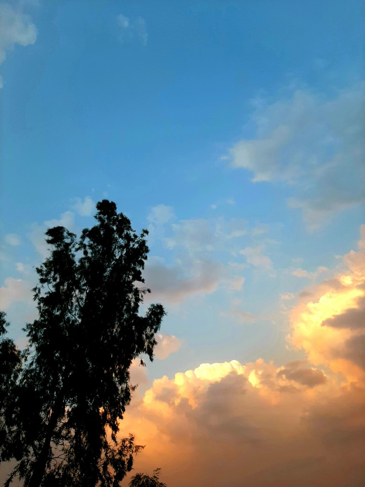 blue sky