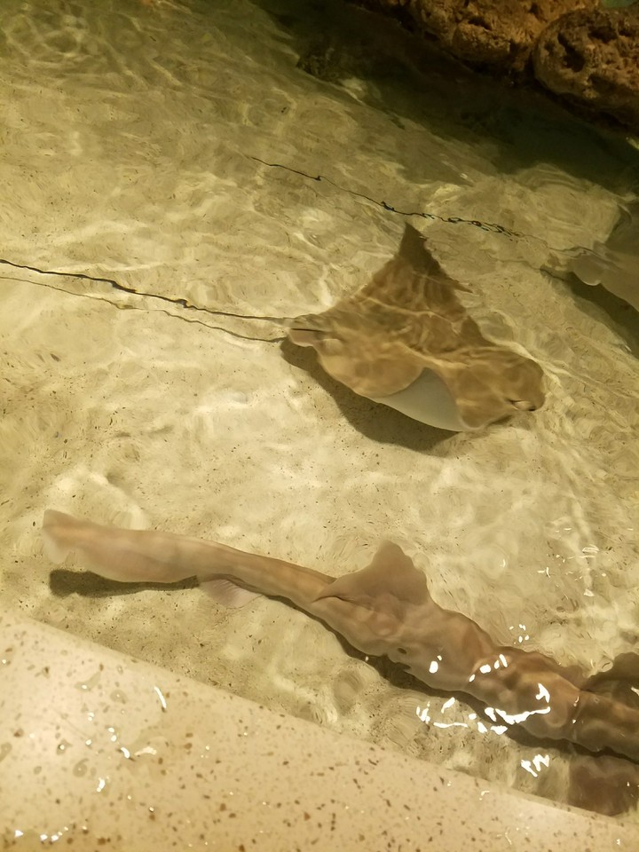 boston ma