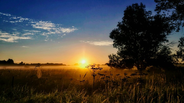 Rising Sun