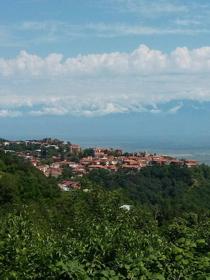 View of Signagi town
