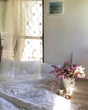 Wonderful morning