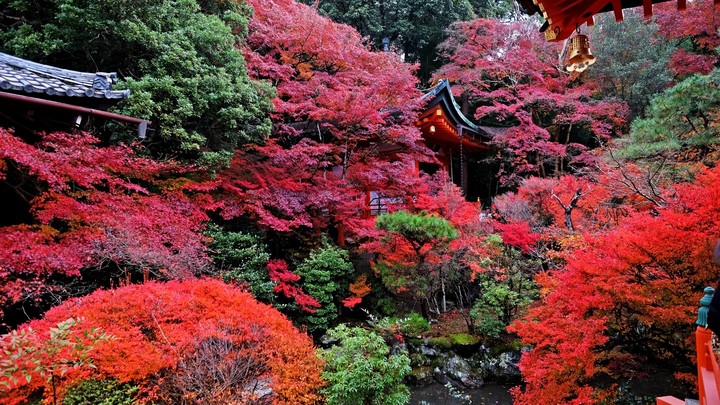 temple,autumn