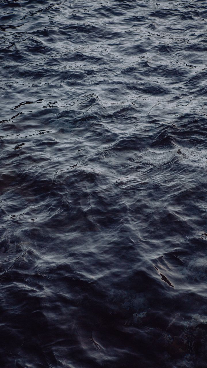 See