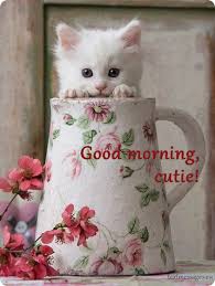 Good Morning