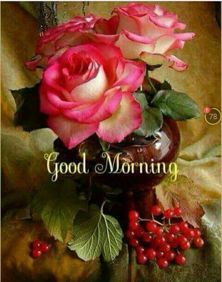good morning