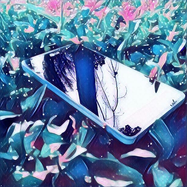 LG