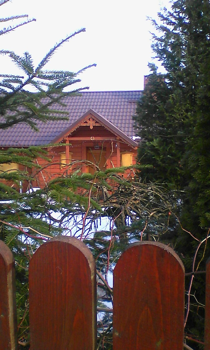 Leśny domek