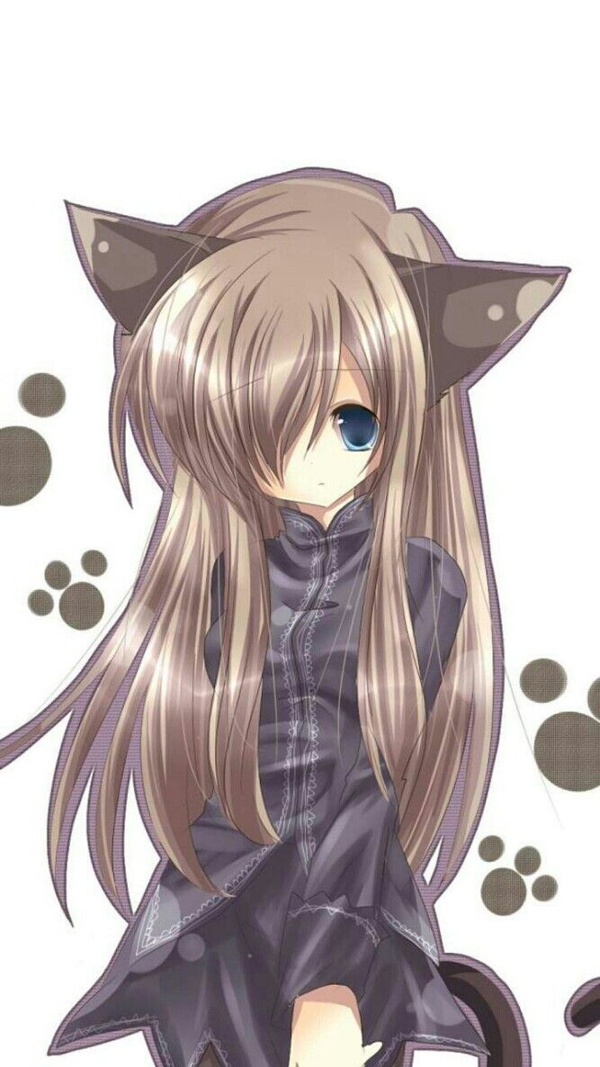 meaw