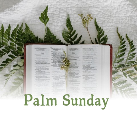 Bible, Cute Hintergrundbilder