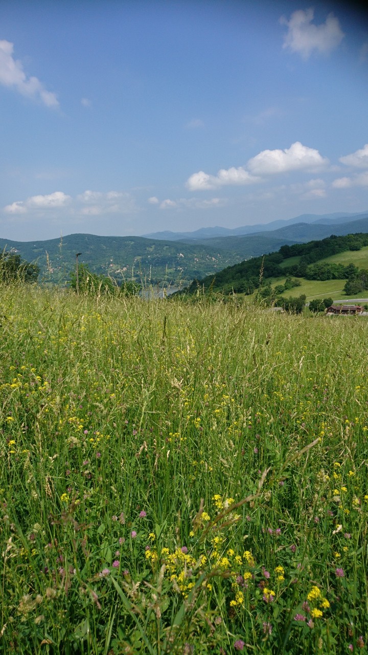 Montaines