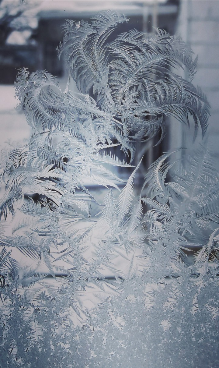 neige givre hiver