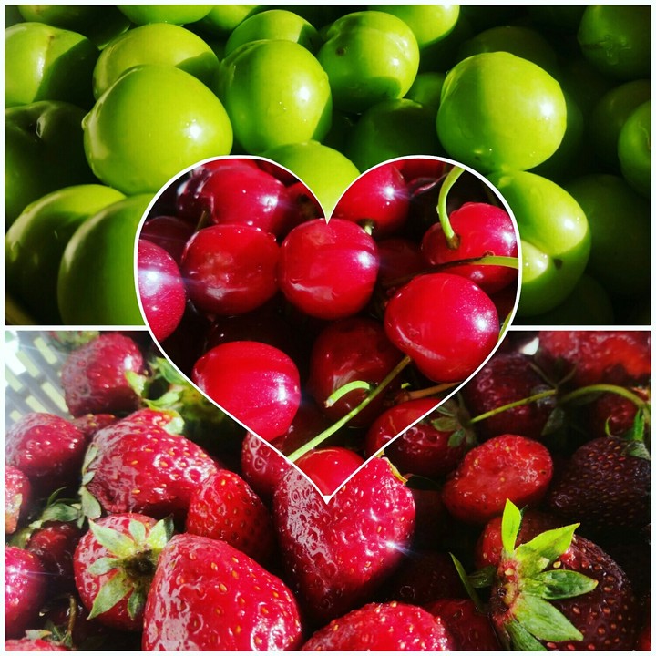 fruits