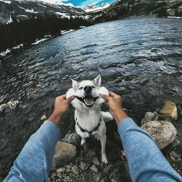 Photo 2018