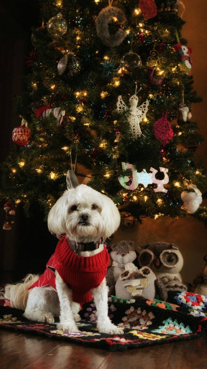 A Vintage Christmas