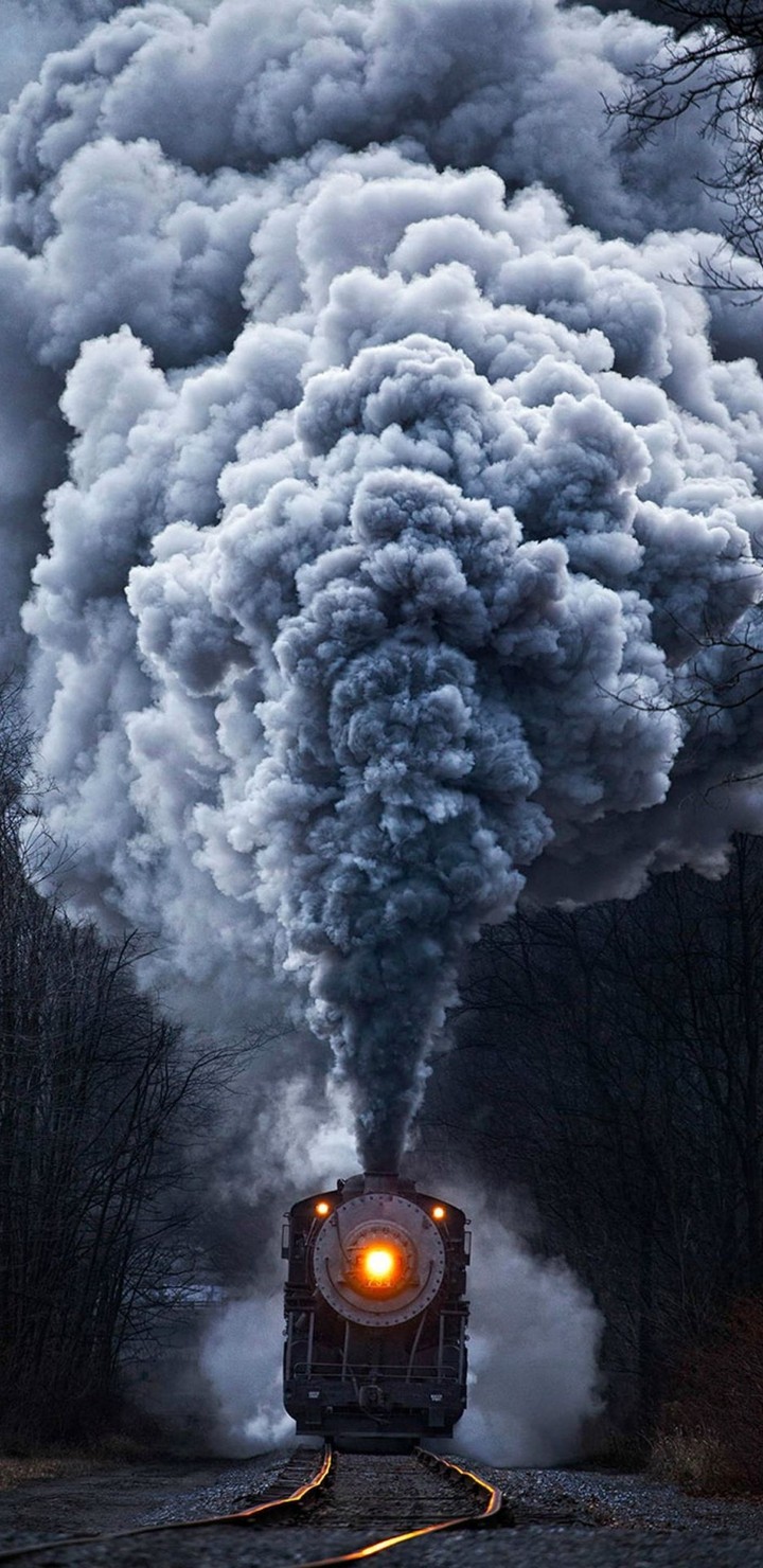 train