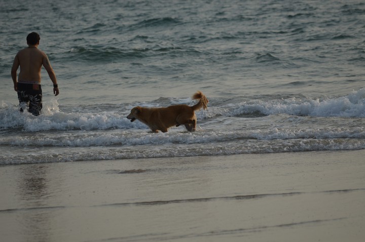 Calangute beach Goa