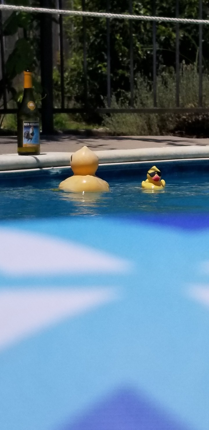 happy ducks 2