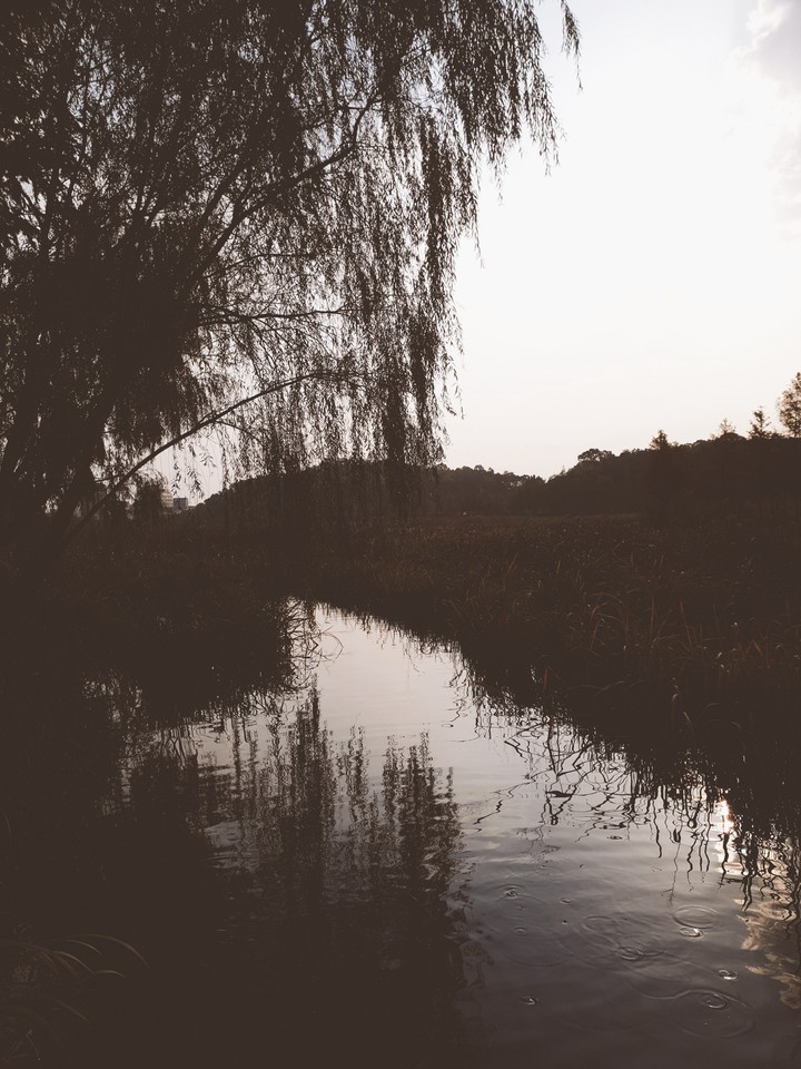 fall