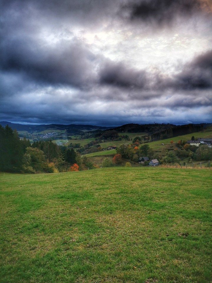 nature