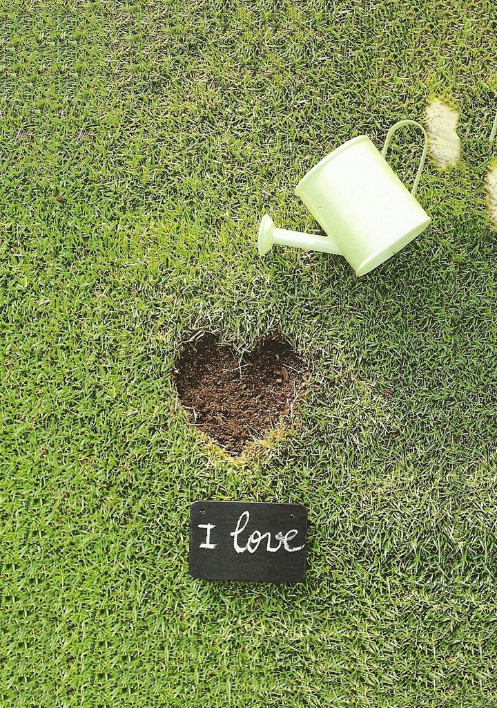 love