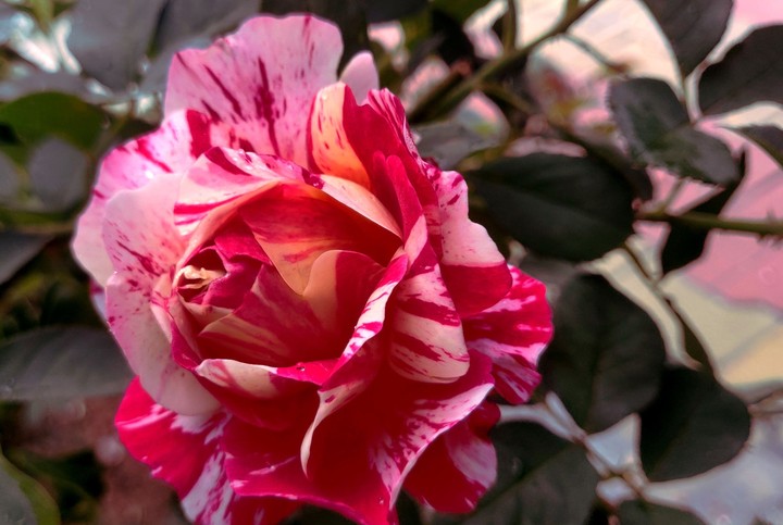 Clicked ❣️❣️