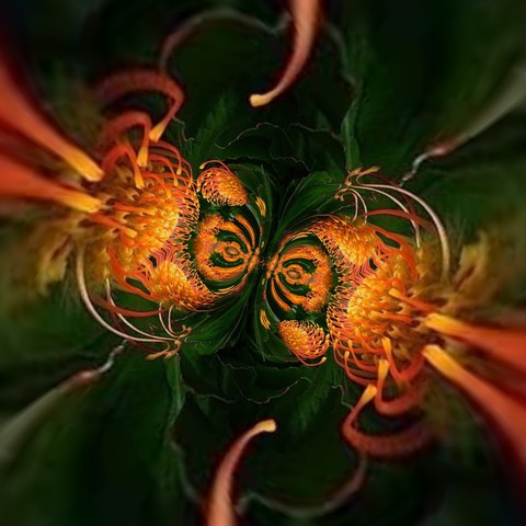 sfondi pattern, Close-up