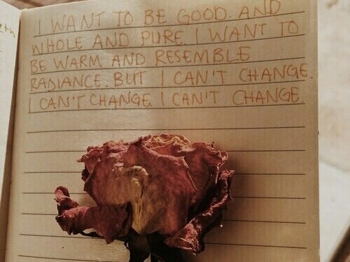 The end.