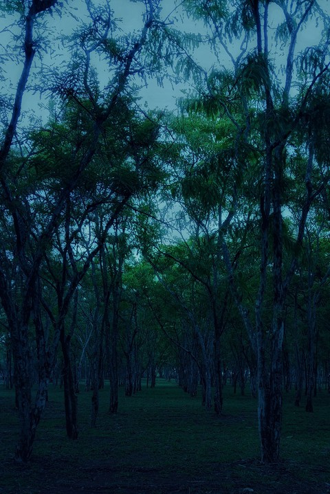 scenic beauty 3
