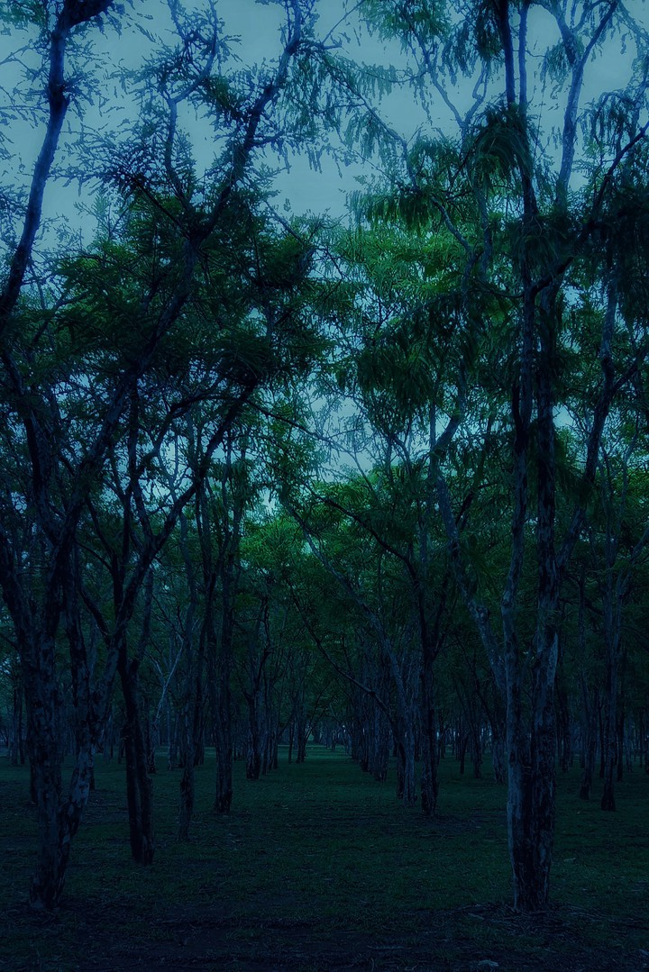 scenic beauty 3