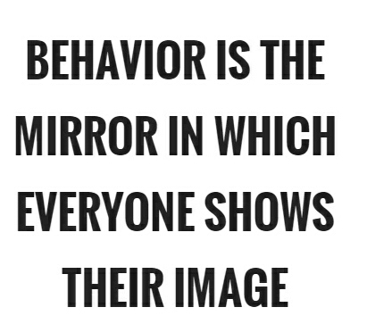 Behaviour is mirror
