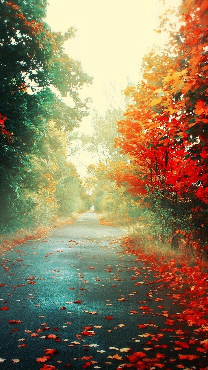 arboles