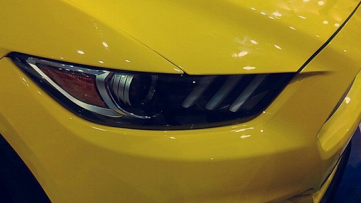 Mustang