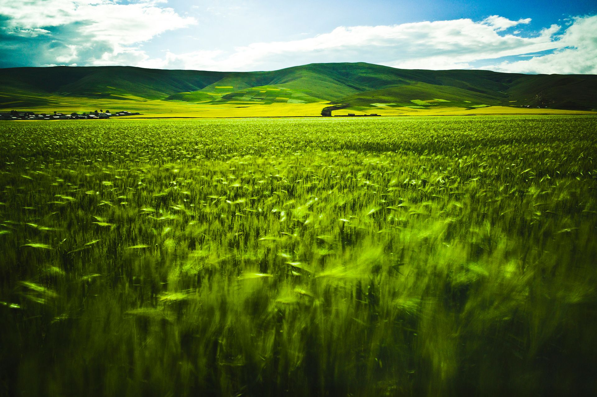 Grassland and Mountain