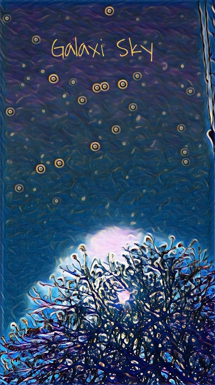 Night Sky