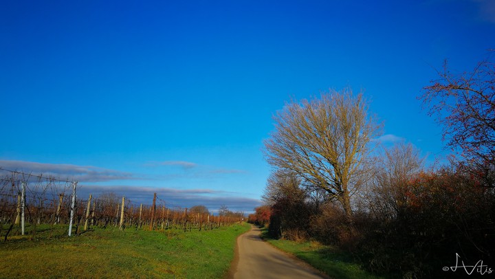 road
