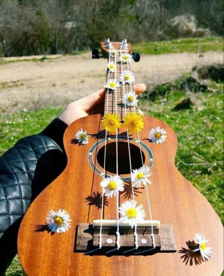 gitar