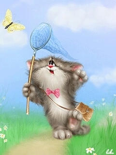 Funny cat