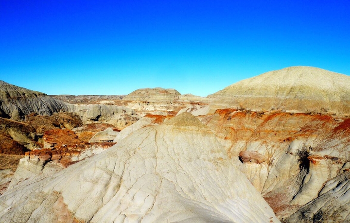 Where dinosaurs had existed