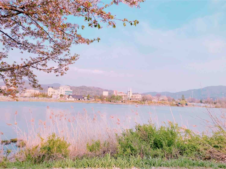 강