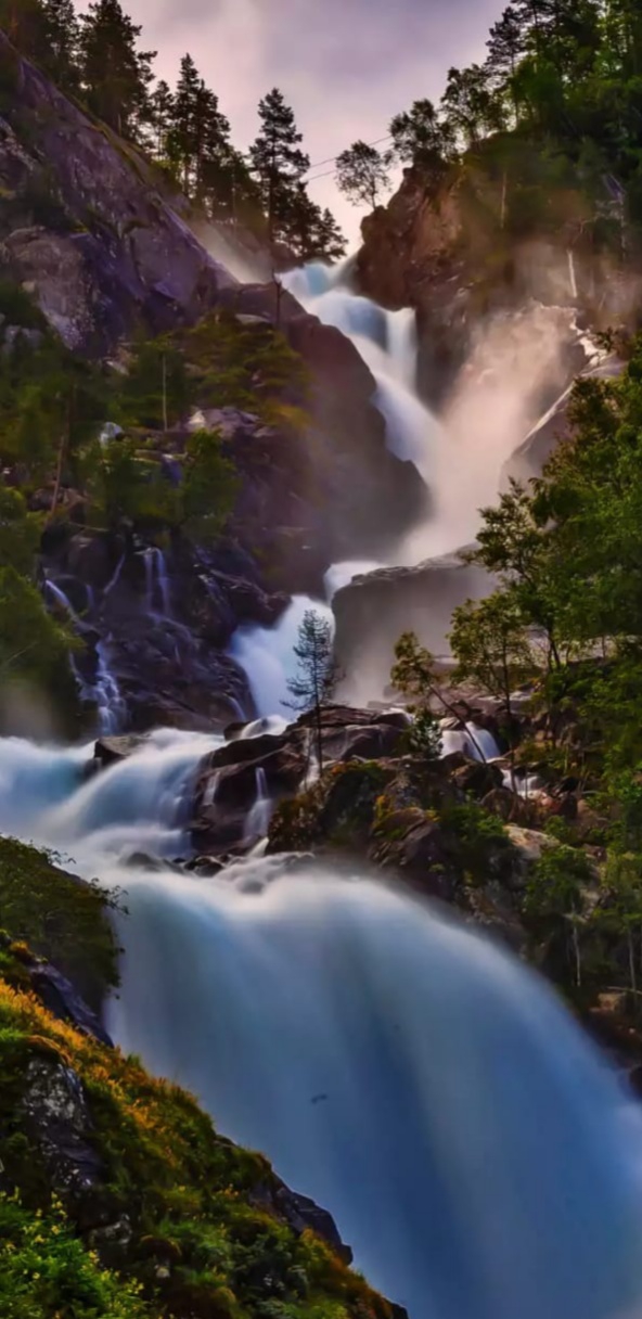 Nature