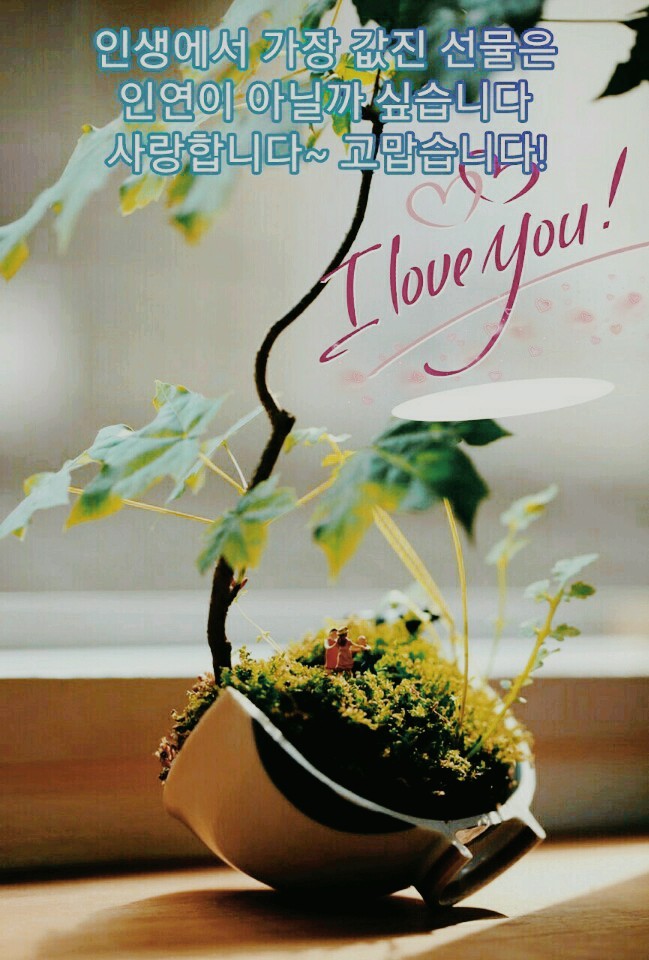 인연