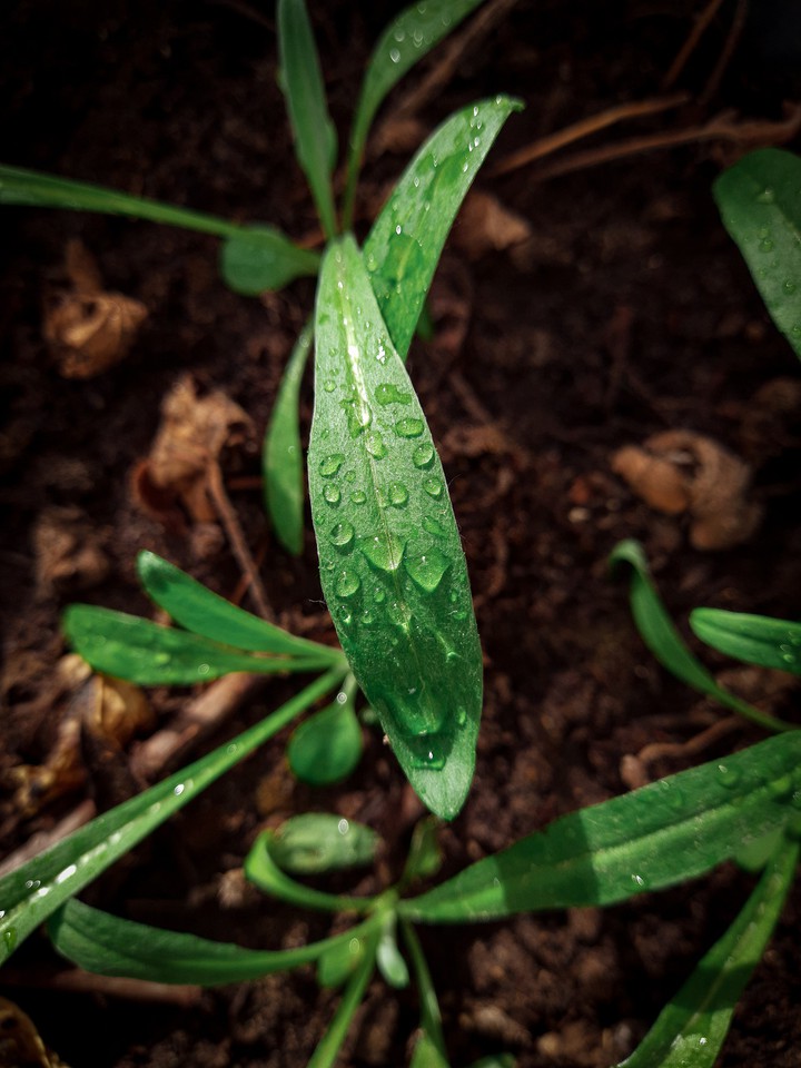 rainy day