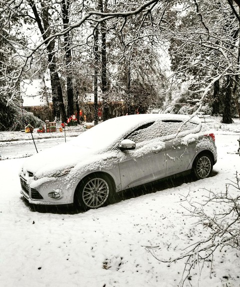 wintery bliss