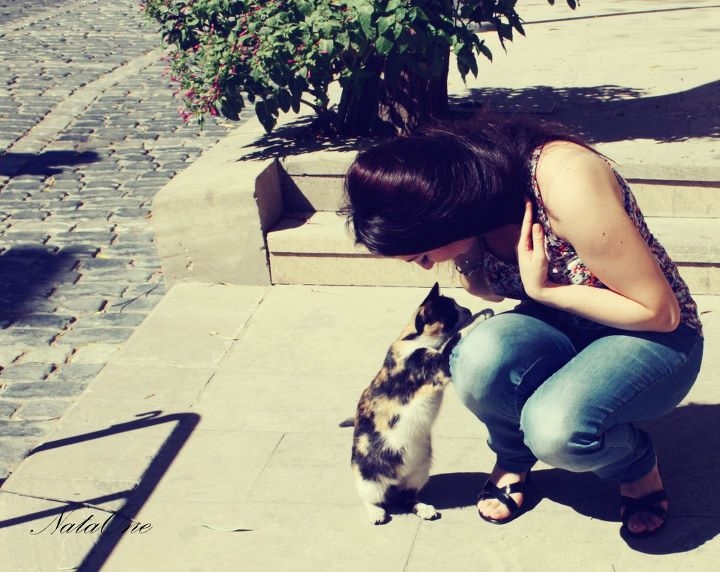 cat love
